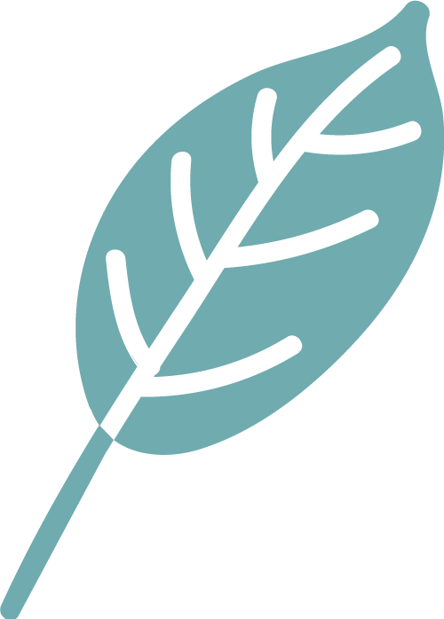 leaf-logo-teal.png